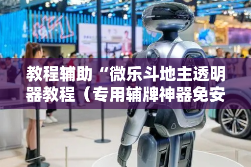 教程辅助“微乐斗地主透明器教程（专用辅牌神器免安装）