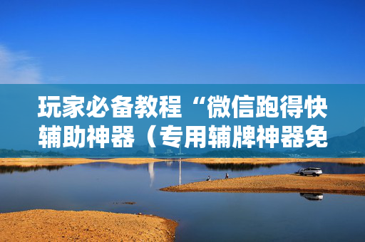 玩家必备教程“微信跑得快辅助神器（专用辅牌神器免安装）