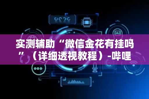实测辅助“微信金花有挂吗”（详细透视教程）-哔哩哔哩