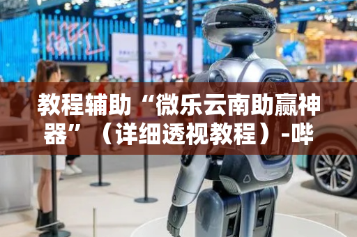 教程辅助“微乐云南助赢神器”（详细透视教程）-哔哩哔哩