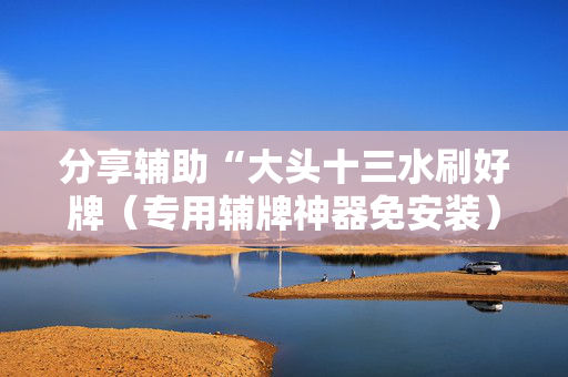 分享辅助“大头十三水刷好牌（专用辅牌神器免安装）