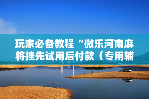玩家必备教程“微乐河南麻将挂先试用后付款（专用辅牌神器免安装）