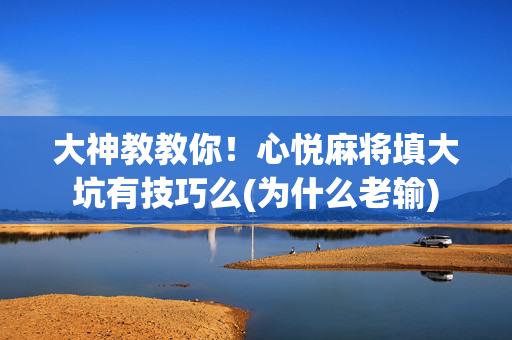 大神教教你！心悦麻将填大坑有技巧么(为什么老输)