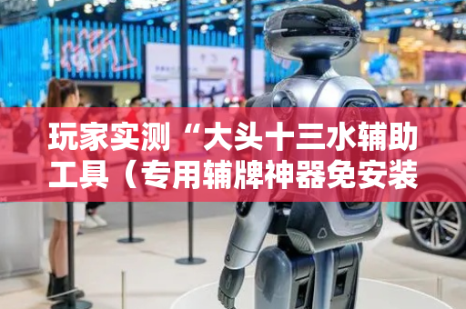 玩家实测“大头十三水辅助工具（专用辅牌神器免安装）