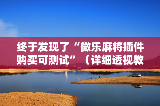 终于发现了“微乐麻将插件购买可测试”（详细透视教程）-哔哩哔哩