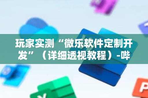 玩家实测“微乐软件定制开发”（详细透视教程）-哔哩哔哩