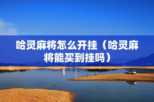 哈灵麻将怎么开挂（哈灵麻将能买到挂吗）