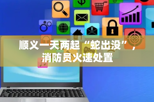 顺义一天两起“蛇出没”，消防员火速处置