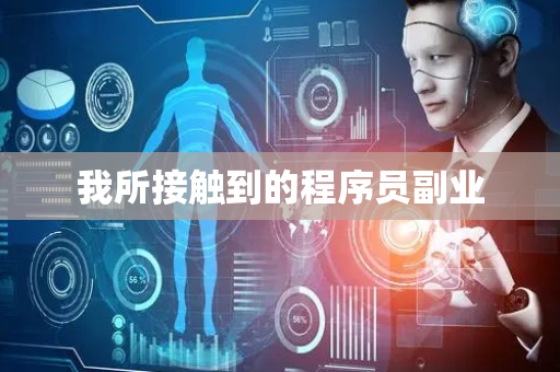 我所接触到的程序员副业