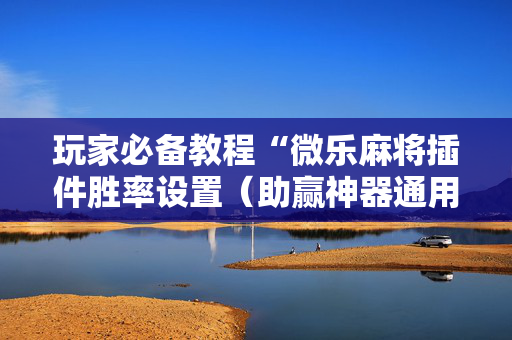 玩家必备教程“微乐麻将插件胜率设置（助赢神器通用版）