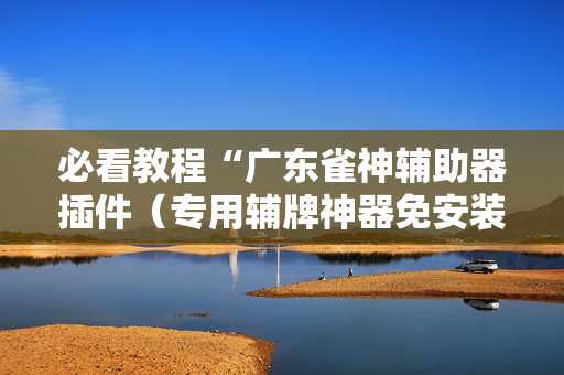 必看教程“广东雀神辅助器插件（专用辅牌神器免安装）