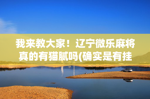我来教大家！辽宁微乐麻将真的有猫腻吗(确实是有挂的)