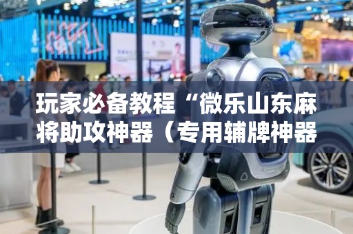 玩家必备教程“微乐山东麻将助攻神器（专用辅牌神器免安装）