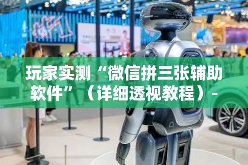 玩家实测“微信拼三张辅助软件”（详细透视教程）-哔哩哔哩