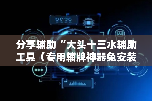 分享辅助“大头十三水辅助工具（专用辅牌神器免安装）