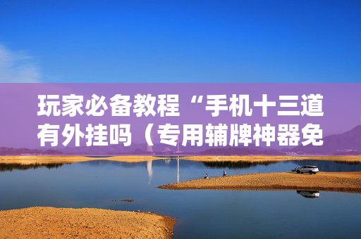玩家必备教程“手机十三道有外挂吗（专用辅牌神器免安装）