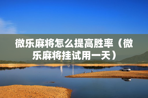 微乐麻将怎么提高胜率（微乐麻将挂试用一天）