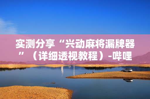 实测分享“兴动麻将漏牌器”（详细透视教程）-哔哩哔哩