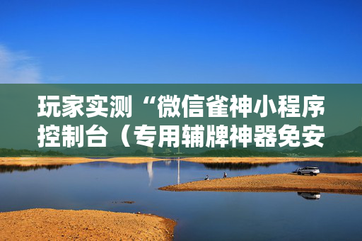 玩家实测“微信雀神小程序控制台（专用辅牌神器免安装）