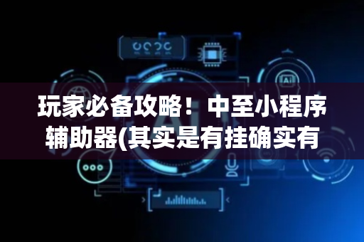 玩家必备攻略！中至小程序辅助器(其实是有挂确实有挂)