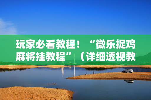 玩家必看教程！“微乐捉鸡麻将挂教程”（详细透视教程）-哔哩哔哩
