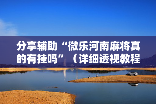 分享辅助“微乐河南麻将真的有挂吗”（详细透视教程）-哔哩哔哩