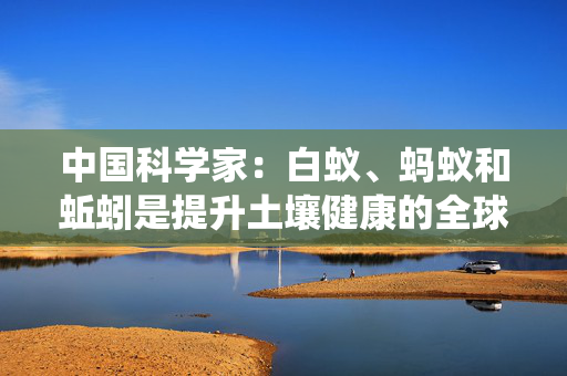 中国科学家：白蚁、蚂蚁和蚯蚓是提升土壤健康的全球生态系统工程师