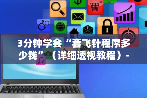 3分钟学会“套飞针程序多少钱”（详细透视教程）-哔哩哔哩