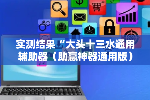 实测结果“大头十三水通用辅助器（助赢神器通用版）