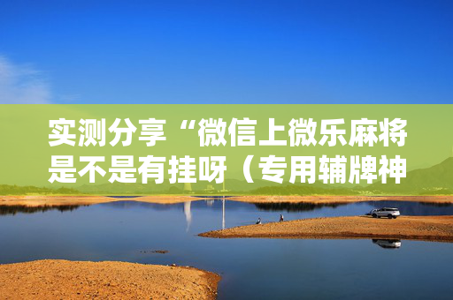 实测分享“微信上微乐麻将是不是有挂呀（专用辅牌神器免安装）