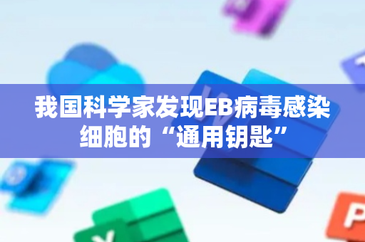 我国科学家发现EB病毒感染细胞的“通用钥匙”