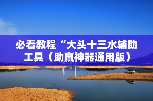 必看教程“大头十三水辅助工具（助赢神器通用版）