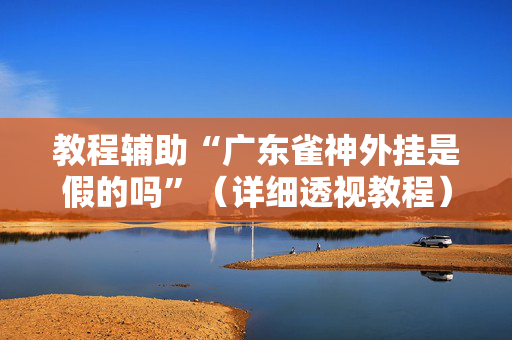 教程辅助“广东雀神外挂是假的吗”（详细透视教程）-哔哩哔哩