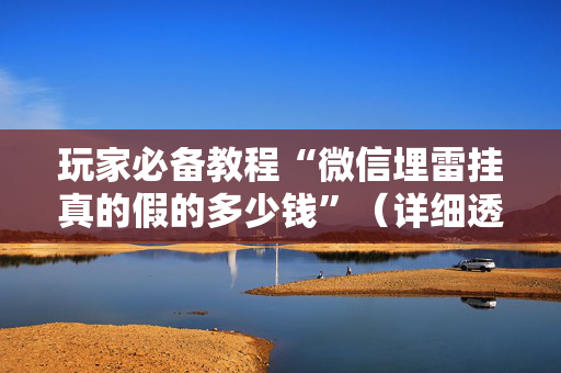 玩家必备教程“微信埋雷挂真的假的多少钱”（详细透视教程）-哔哩哔哩