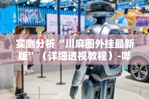 实测分析“川麻圈外挂最新版”（详细透视教程）-哔哩哔哩