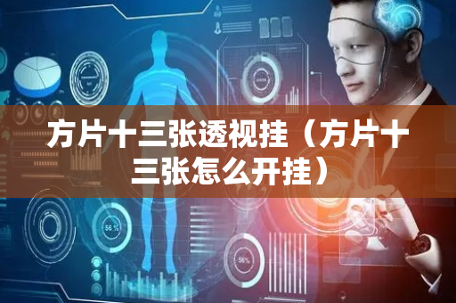 方片十三张透视挂（方片十三张怎么开挂）
