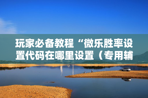玩家必备教程“微乐胜率设置代码在哪里设置（专用辅牌神器免安装）
