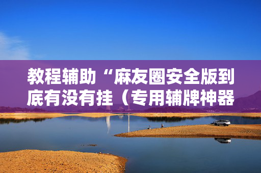 教程辅助“麻友圈安全版到底有没有挂（专用辅牌神器免安装）