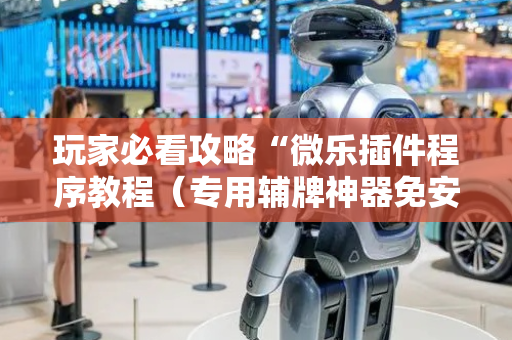 玩家必看攻略“微乐插件程序教程（专用辅牌神器免安装）