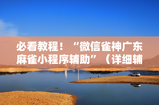 必看教程！“微信雀神广东麻雀小程序辅助”（详细辅助教程）-哔哩哔哩