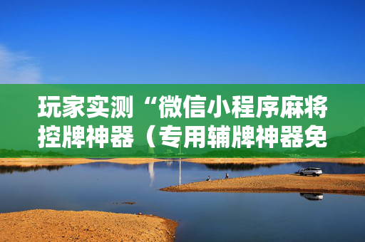 玩家实测“微信小程序麻将控牌神器（专用辅牌神器免安装）