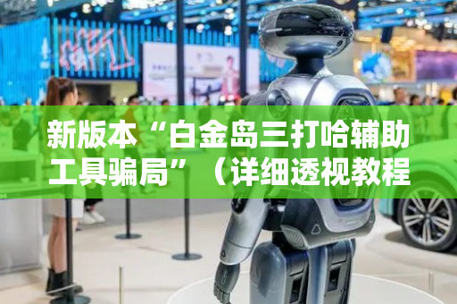 新版本“白金岛三打哈辅助工具骗局”（详细透视教程）-哔哩哔哩