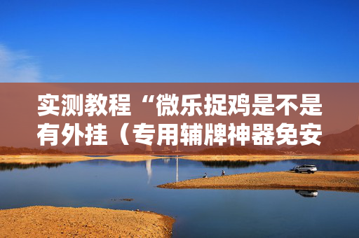 实测教程“微乐捉鸡是不是有外挂（专用辅牌神器免安装）