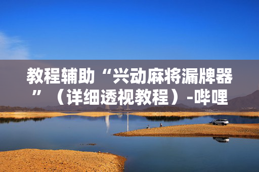 教程辅助“兴动麻将漏牌器”（详细透视教程）-哔哩哔哩