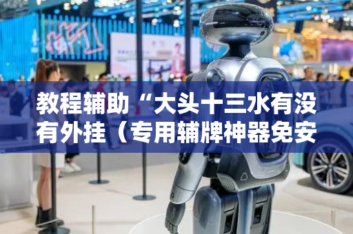 教程辅助“大头十三水有没有外挂（专用辅牌神器免安装）