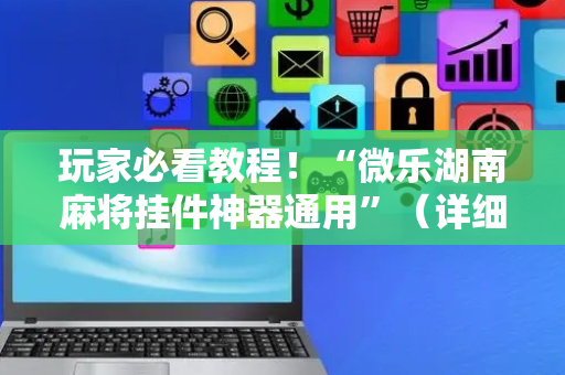 玩家必看教程！“微乐湖南麻将挂件神器通用”（详细辅助教程）-哔哩哔哩