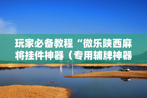 玩家必备教程“微乐陕西麻将挂件神器（专用辅牌神器免安装）