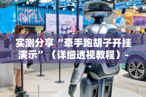 实测分享“牵手跑胡子开挂演示”（详细透视教程）-哔哩哔哩