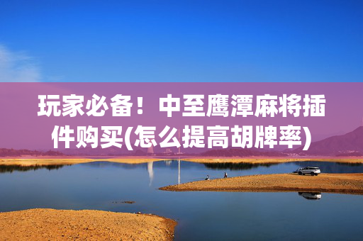 玩家必备！中至鹰潭麻将插件购买(怎么提高胡牌率)