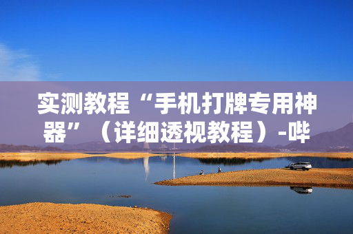 实测教程“手机打牌专用神器”（详细透视教程）-哔哩哔哩